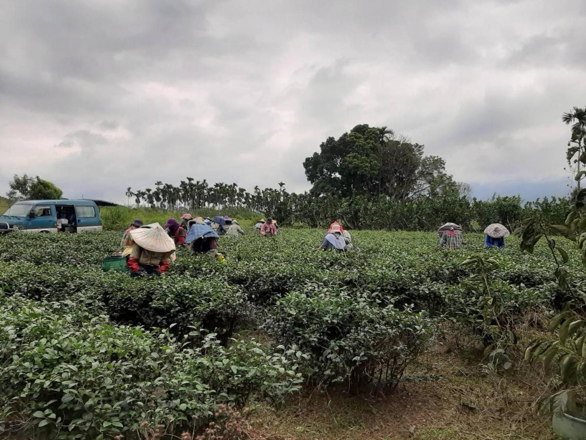 Dong Li Tea Homestay رويسي المظهر الخارجي الصورة